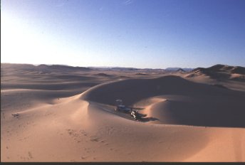 nrdl. Pince de Crabe, nig_tsa5_17